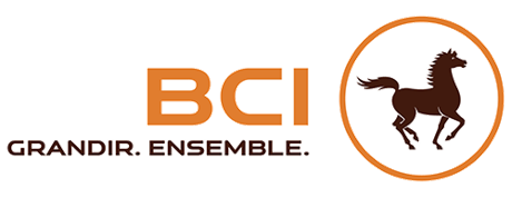 BCI Banque Centrale Populaire Congo
